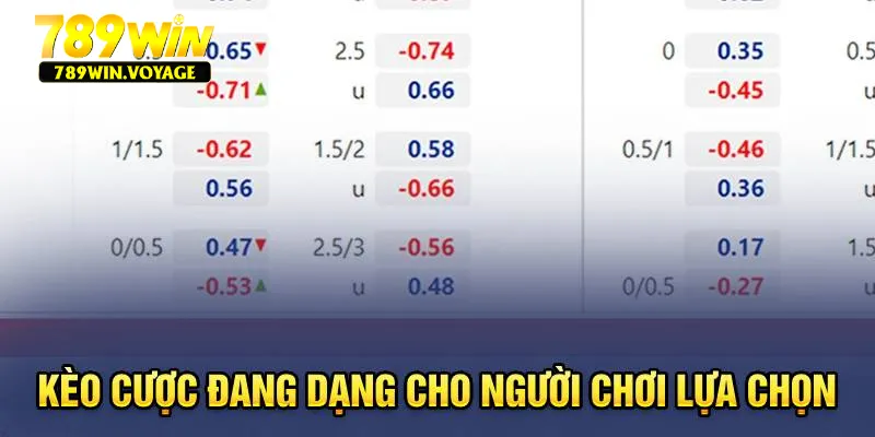 Kèo cược đang dạng cho người chơi lựa chọn