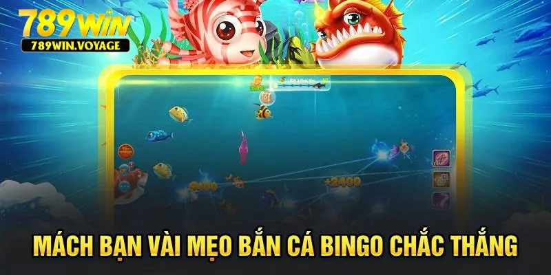 Mách bạn vài mẹo bắn cá Bingo chắc thắng
