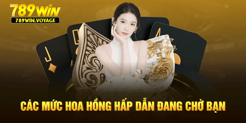 Các mức hoa hồng hấp dẫn đang chờ bạn